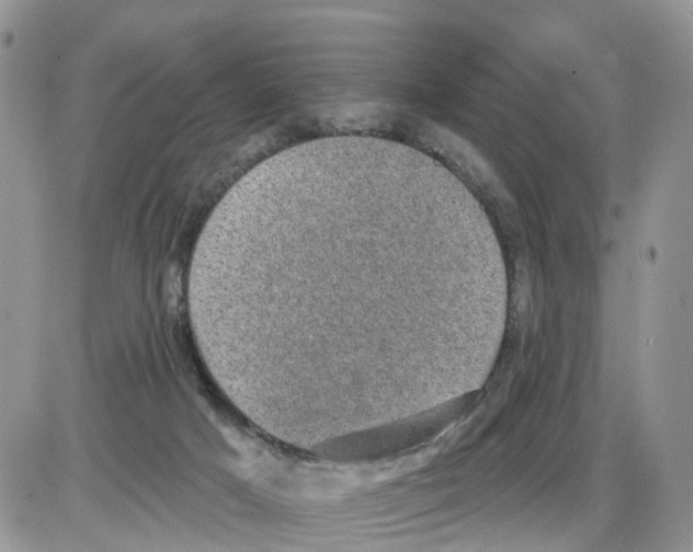 X0000086050025200704202047