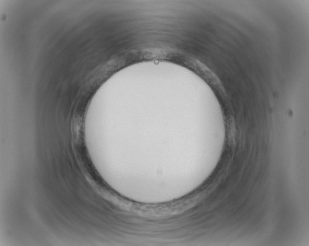 X0000086050026200704202047