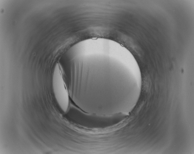 X0000086050027200704202047