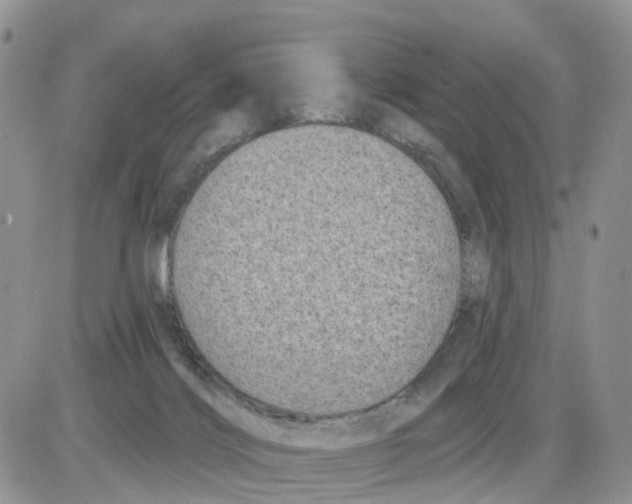 X0000086050028200704202047