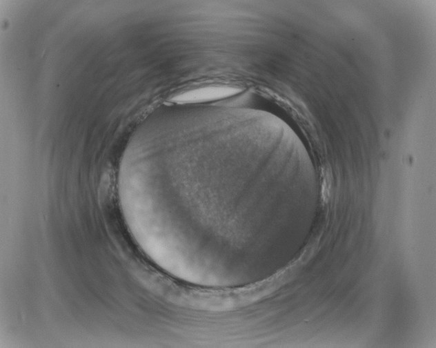 X0000086050029200704202047