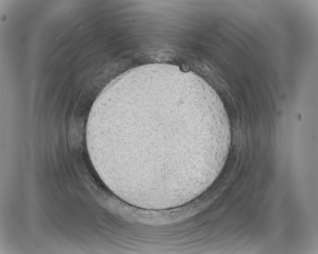 X0000086050030200704202047