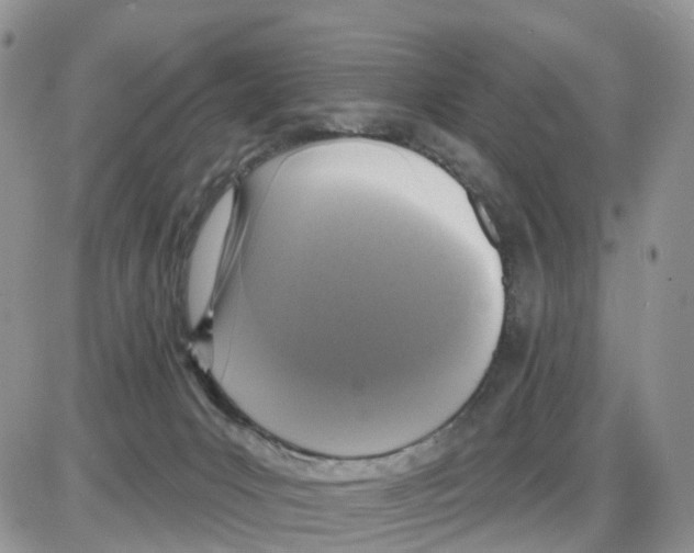 X0000086050031200704202047