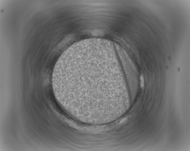 X0000086050032200704202047