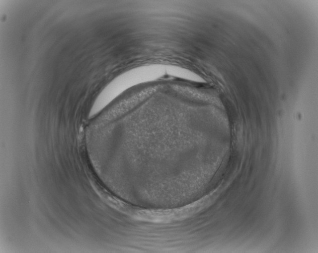 X0000086050033200704202047