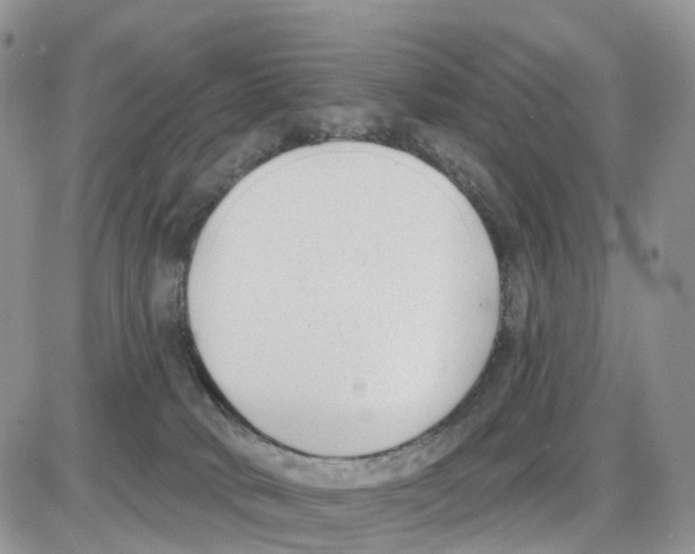 X0000086050034200704202047