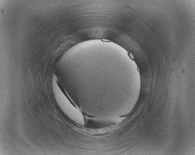 X0000086050035200704202047