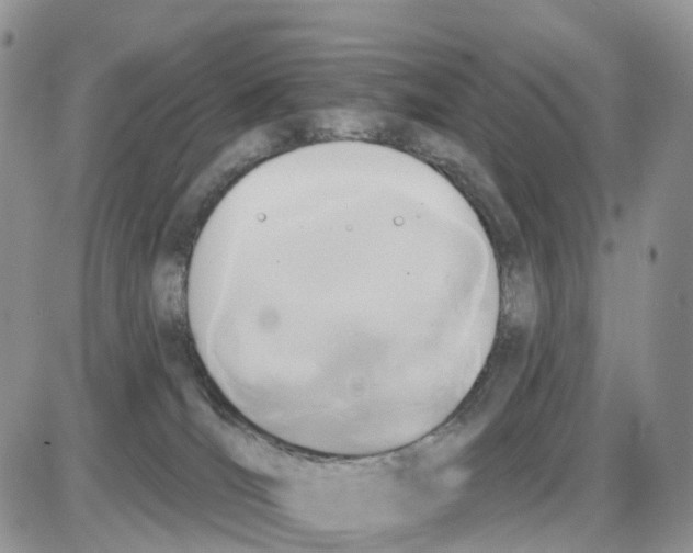 X0000086050036200704202047