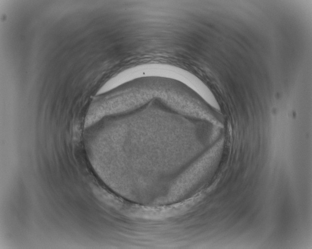 X0000086050037200704202047