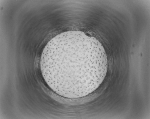 X0000086050038200704202047