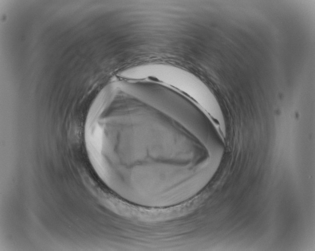 X0000086050039200704202047