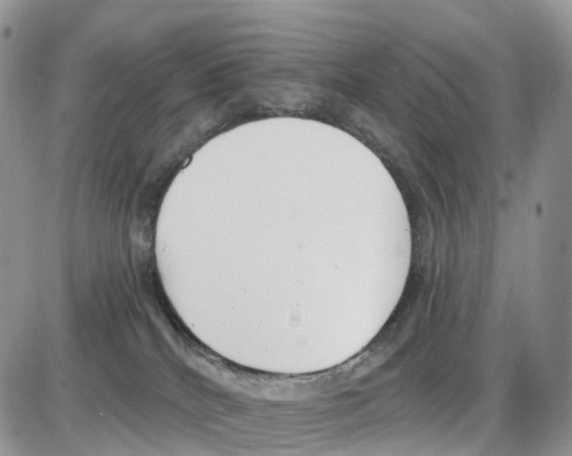 X0000086050040200704202047