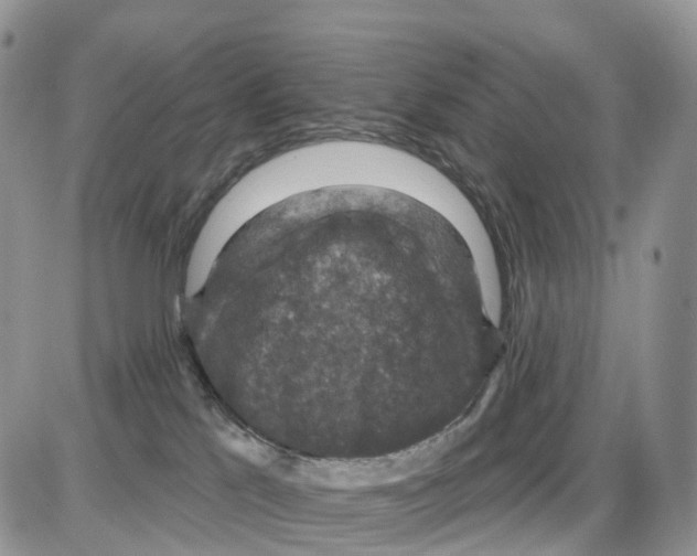 X0000086050041200704202047