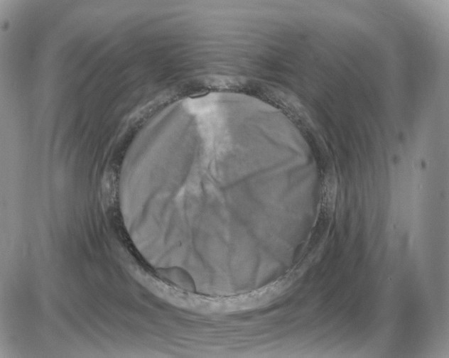 X0000086050043200704202047