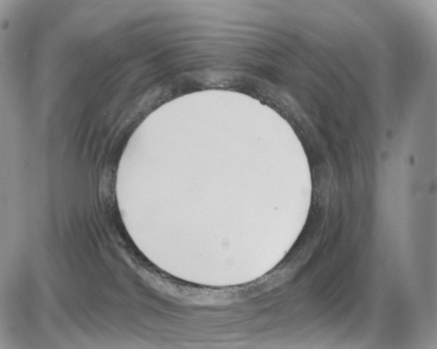 X0000086050044200704202047