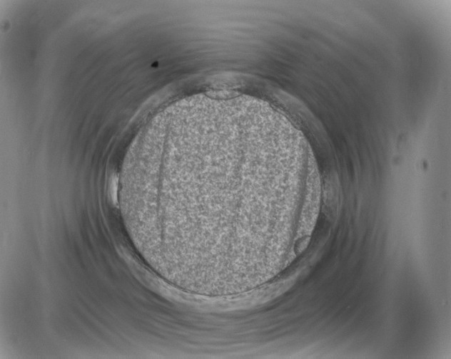 X0000086050046200704202047