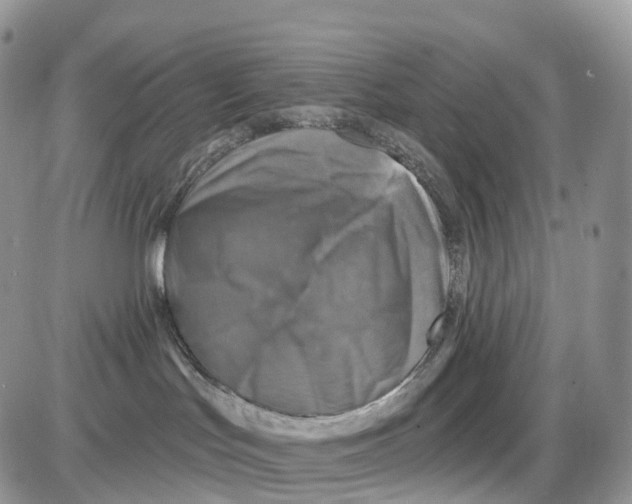 X0000086050047200704202047