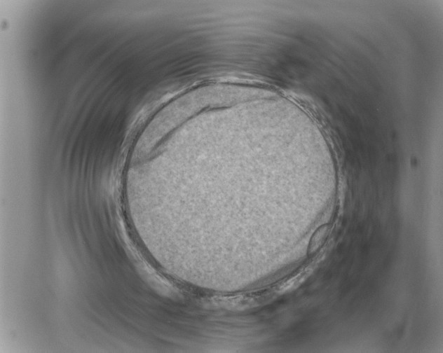 X0000086050049200704202046