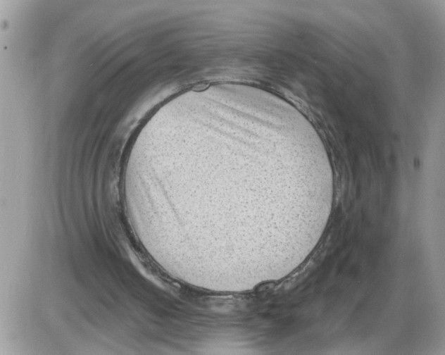 X0000086050050200704202046