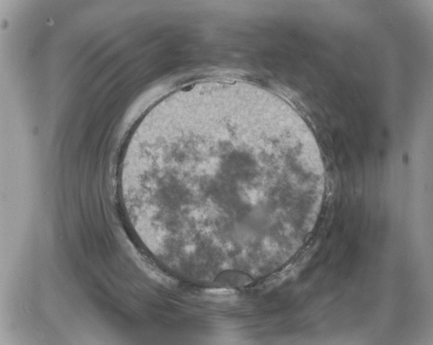 X0000086050053200704202046