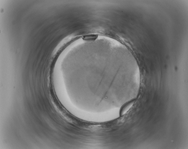 X0000086050054200704202046