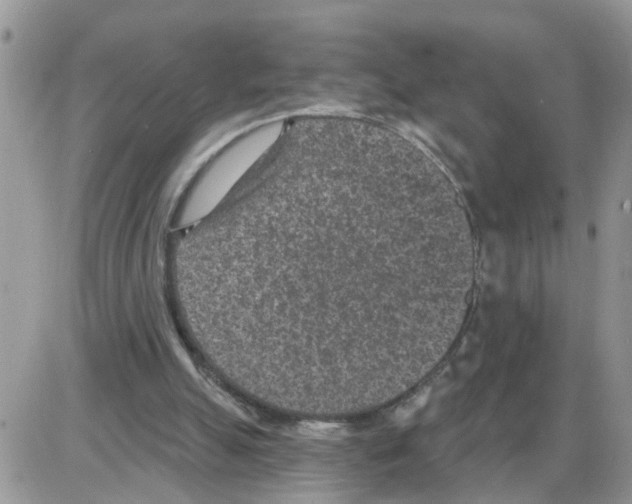 X0000086050055200704202046