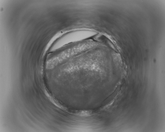 X0000086050056200704202046