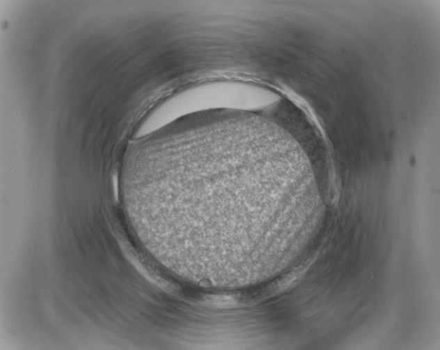 X0000086050061200704202046