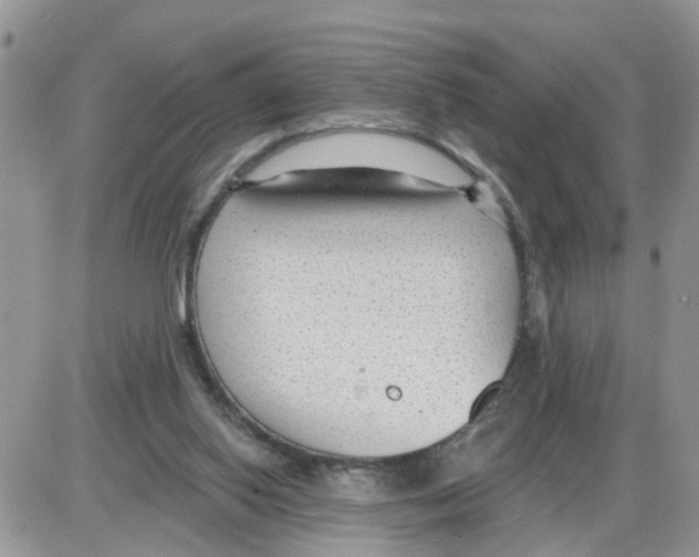 X0000086050062200704202046