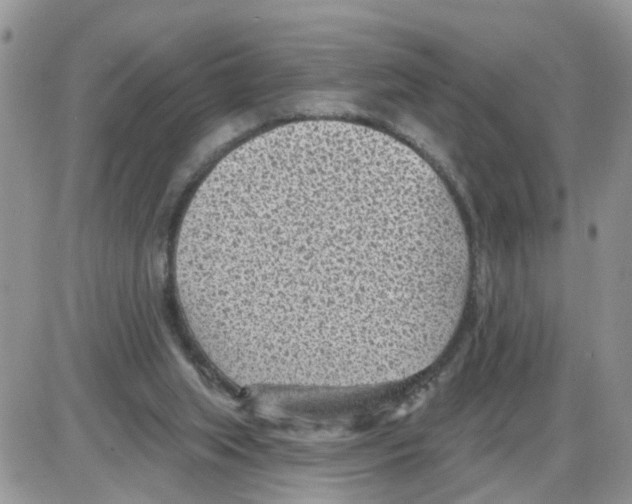 X0000086050063200704202046