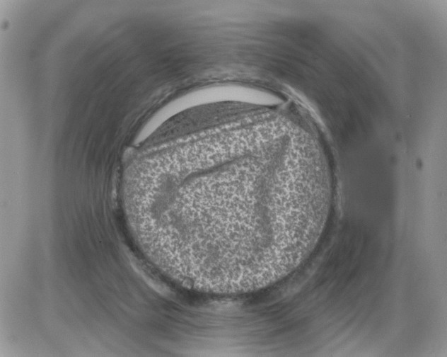 X0000086050065200704202046