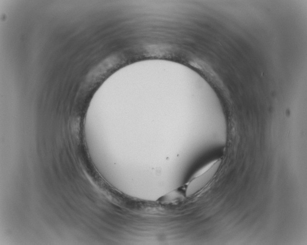 X0000086050066200704202046