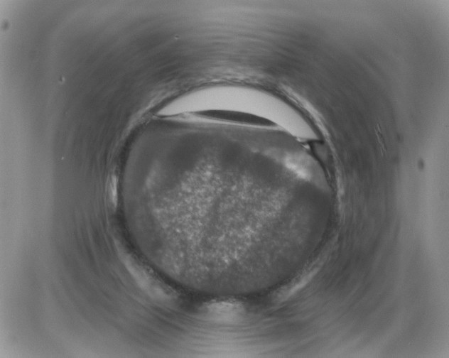 X0000086050067200704202046