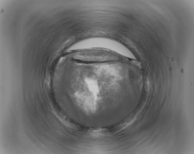 X0000086050072200704202046