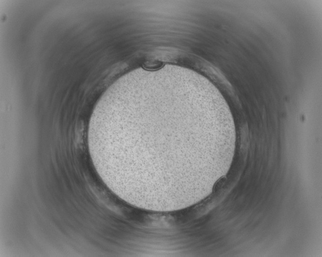 X0000086050073200704202046