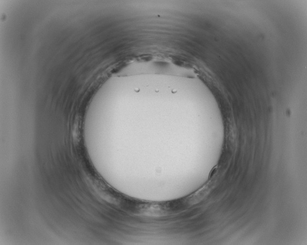 X0000086050074200704202046