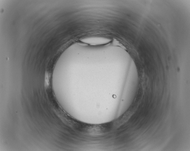 X0000086050075200704202046