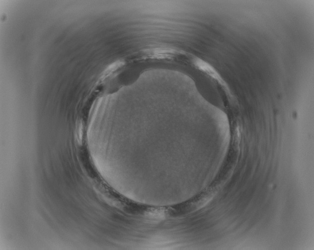 X0000086050076200704202046