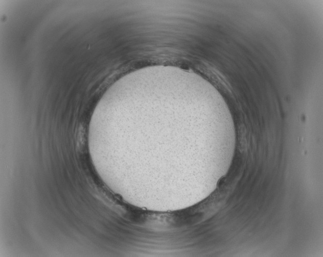 X0000086050077200704202046