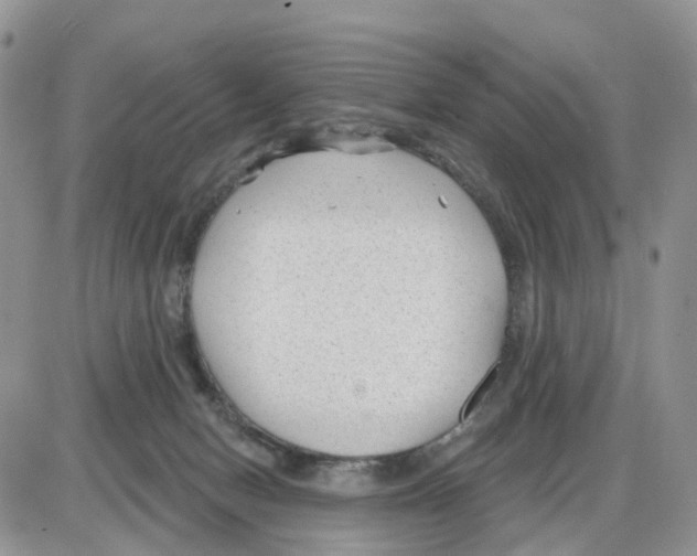 X0000086050078200704202046