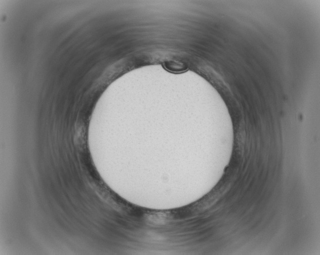 X0000086050079200704202046