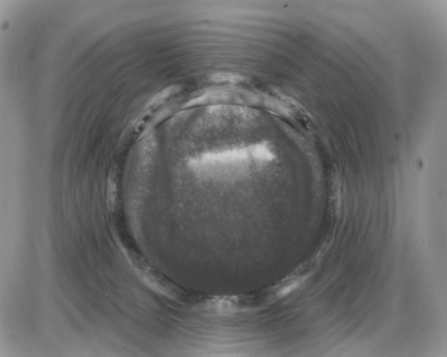 X0000086050080200704202046