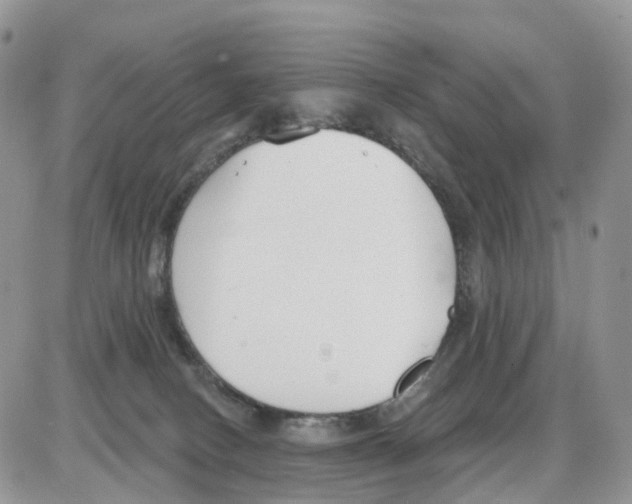 X0000086050082200704202046