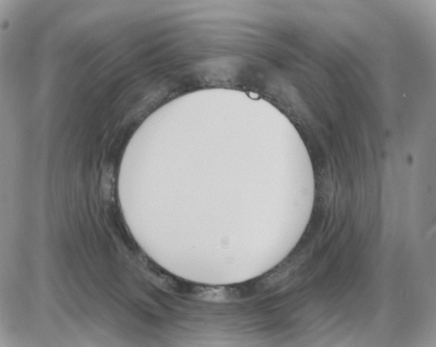 X0000086050083200704202046