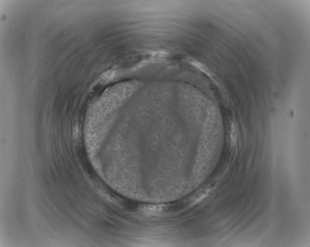 X0000086050084200704202046