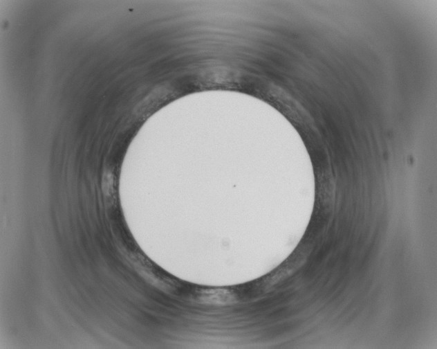 X0000086050087200704202046