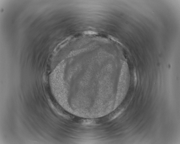 X0000086050088200704202046