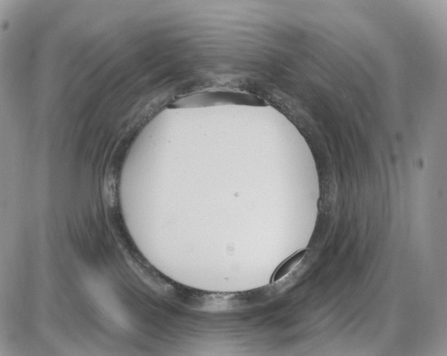 X0000086050090200704202047