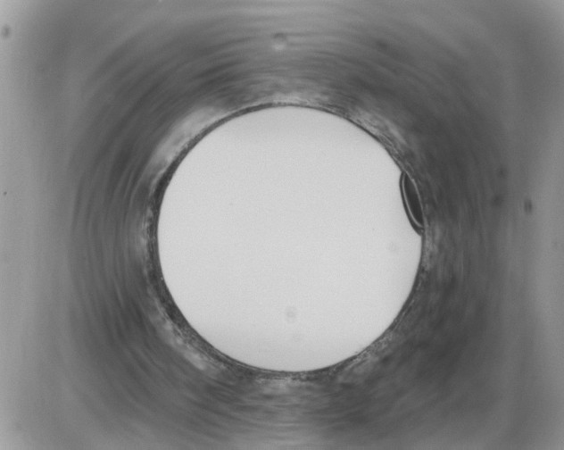 X0000086050098200704202046