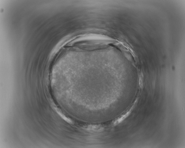 X0000086050101200704202046